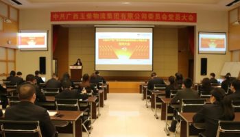 玉柴物流集團(tuán)黨委完成換屆選舉,夯實黨建基礎(chǔ)